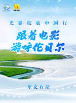 极品名器后宫美女团