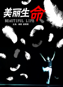 《法国空乘2》电影在线观看中文版